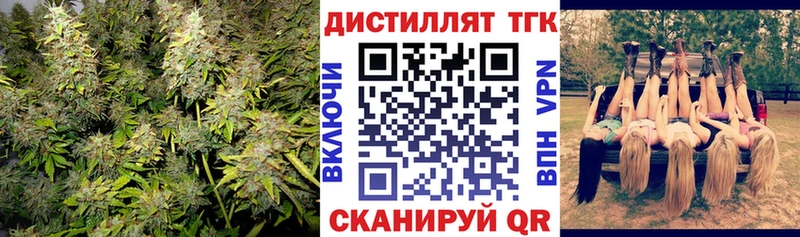 купить закладку  Белово  Дистиллят ТГК THC oil 